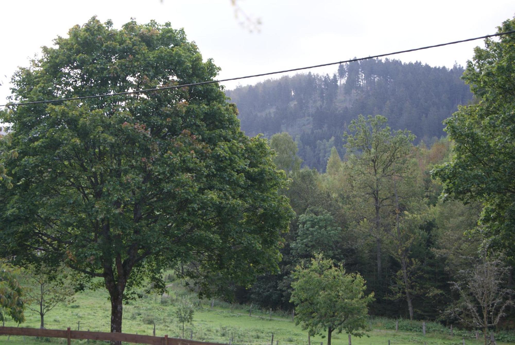 Pension&ferienhaus Latröpchen 3* Schmallenberg